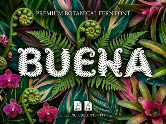 Buena Display Font for Web Design and Digital Branding