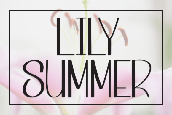 Lily Summer: The Handwritten Display Font for Cozy Digital Brands
